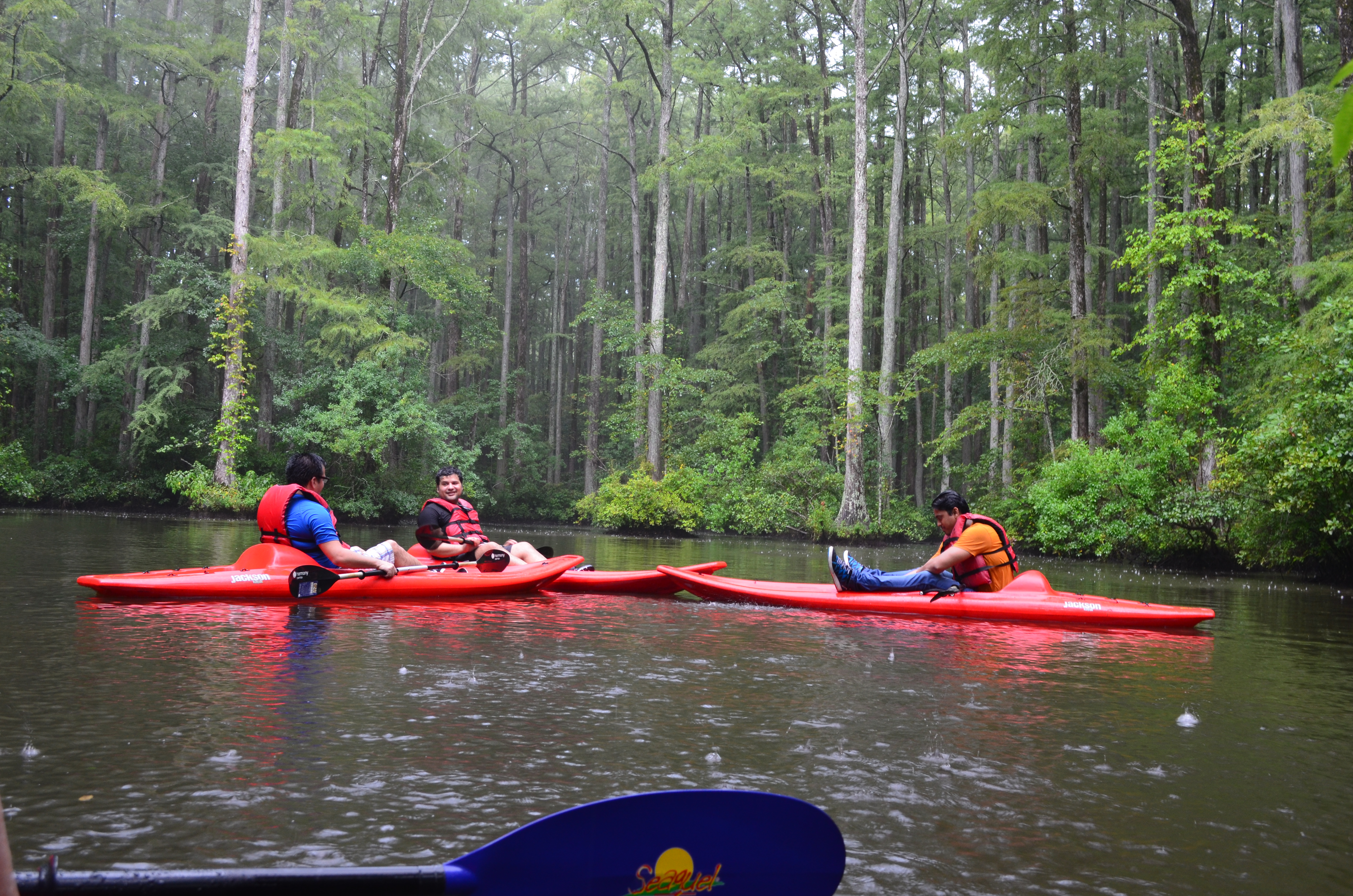 ./2017/13 - Roberson Millpond Preserve/DSC_0580.JPG